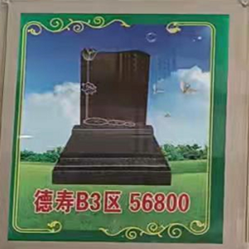 a1660808067511SI.jpg