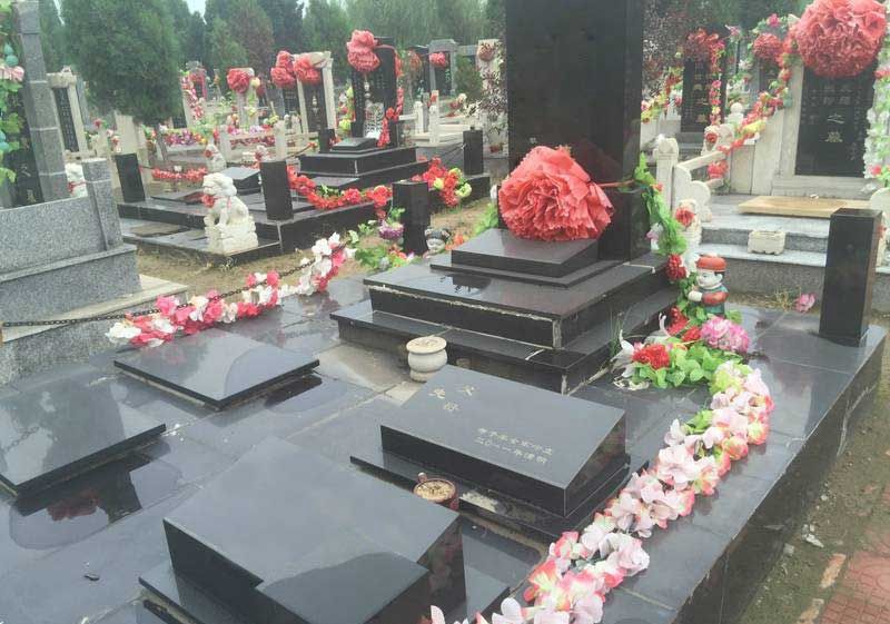 20240730258846.jpg a1488076480568BO.jpg