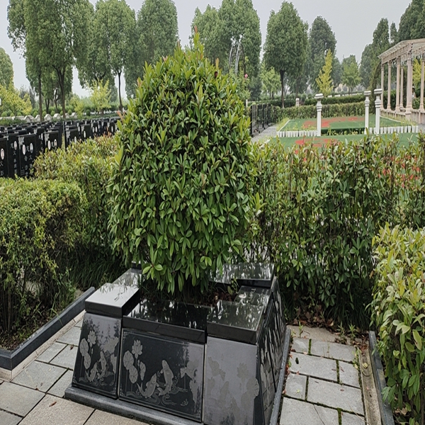 01-88000.jpg