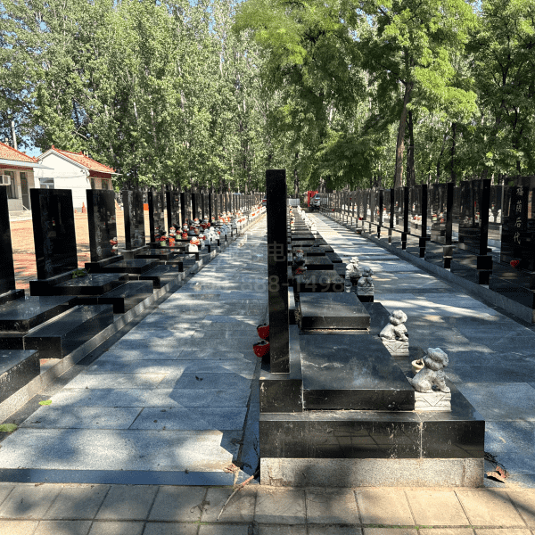 20240831846223.png 1_2.png