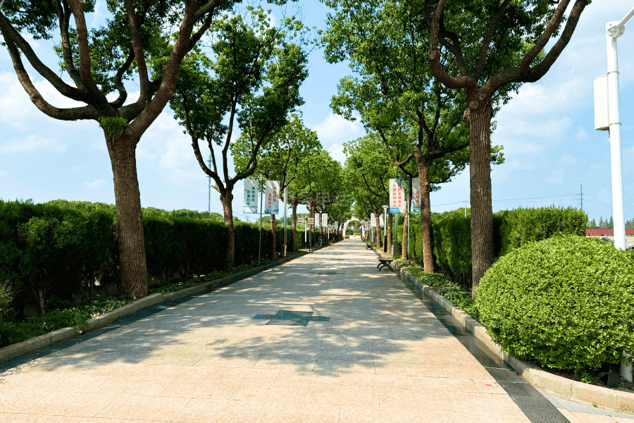 园区道路图