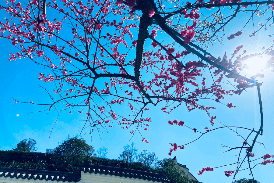 园区环境图