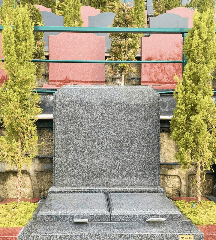 微信图片_20240929162849.png