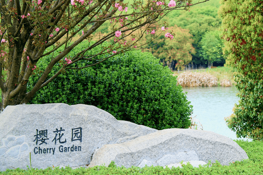 仙鹤湖·樱花园