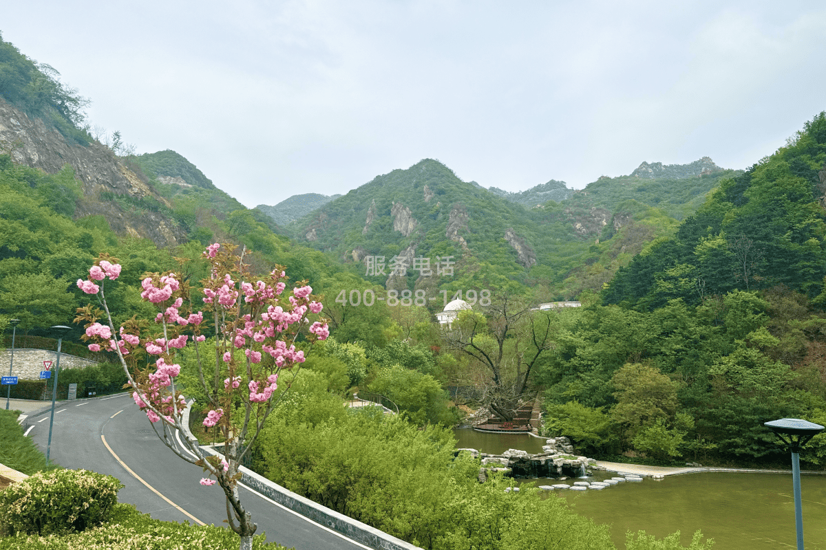 九公山环境展示}