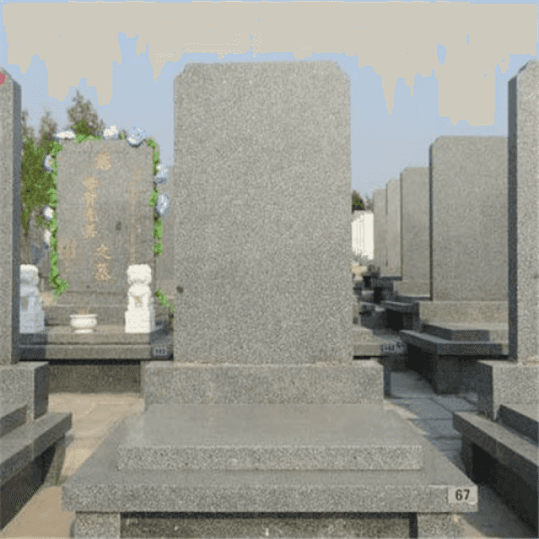 Group 6.png