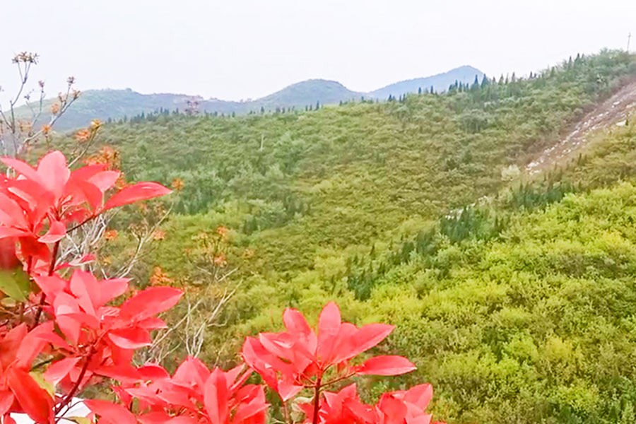 园区景观图