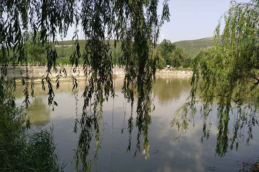 园区湖景图