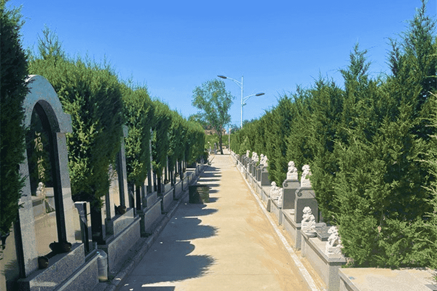 园区景观图