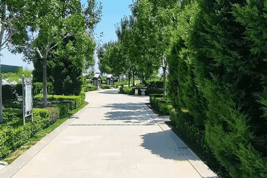 园区景观图