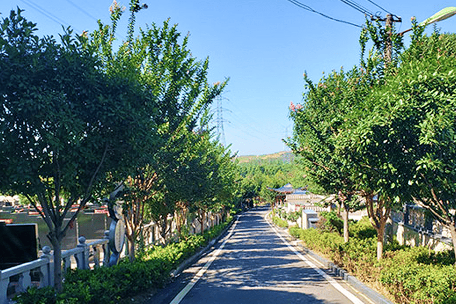 园区环境图