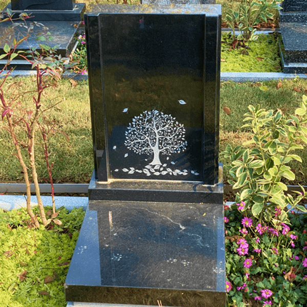 a1705029684430BD.png