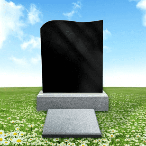 s1735802226747AO.png