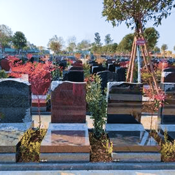 3f1f3081-3edd-40f4-8edf-f0a24688f5b0.jpg_366xaf.png