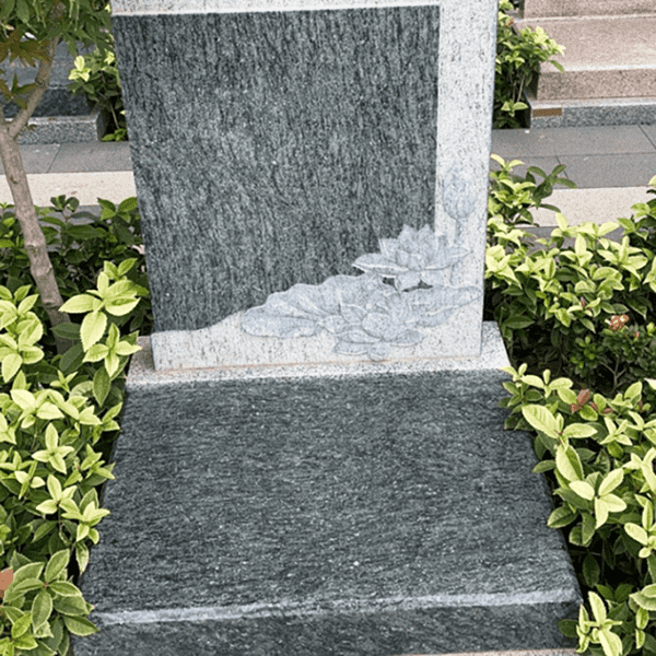 a1705031433953ZO.png