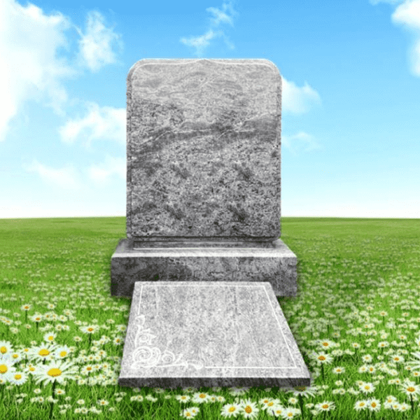 s1735803230444BS.png