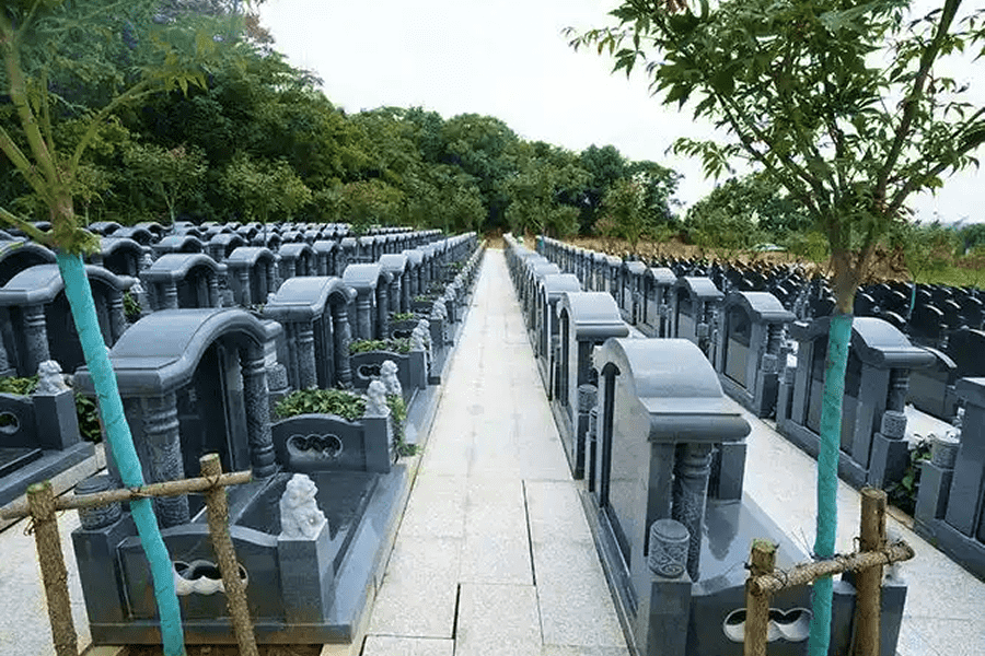 园区环境图