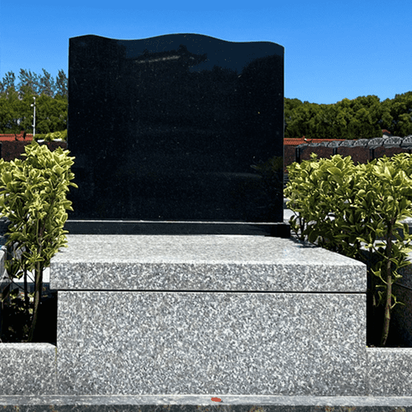 81a0daac25195de9fc3f159dfa9088e0 1.png