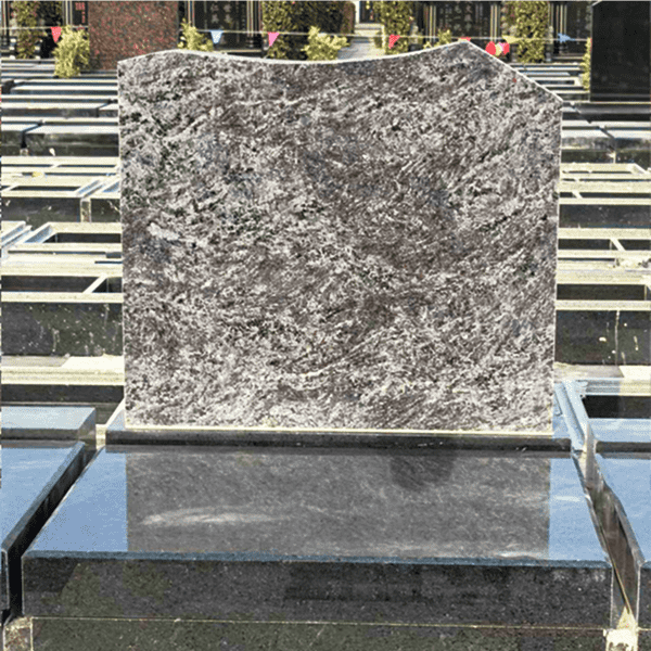 a6976160ac7a8c3e0429cb8b1b420f50 1.png