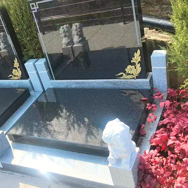 ba40c04ca25dba626bc299dcf3068a14 1.png